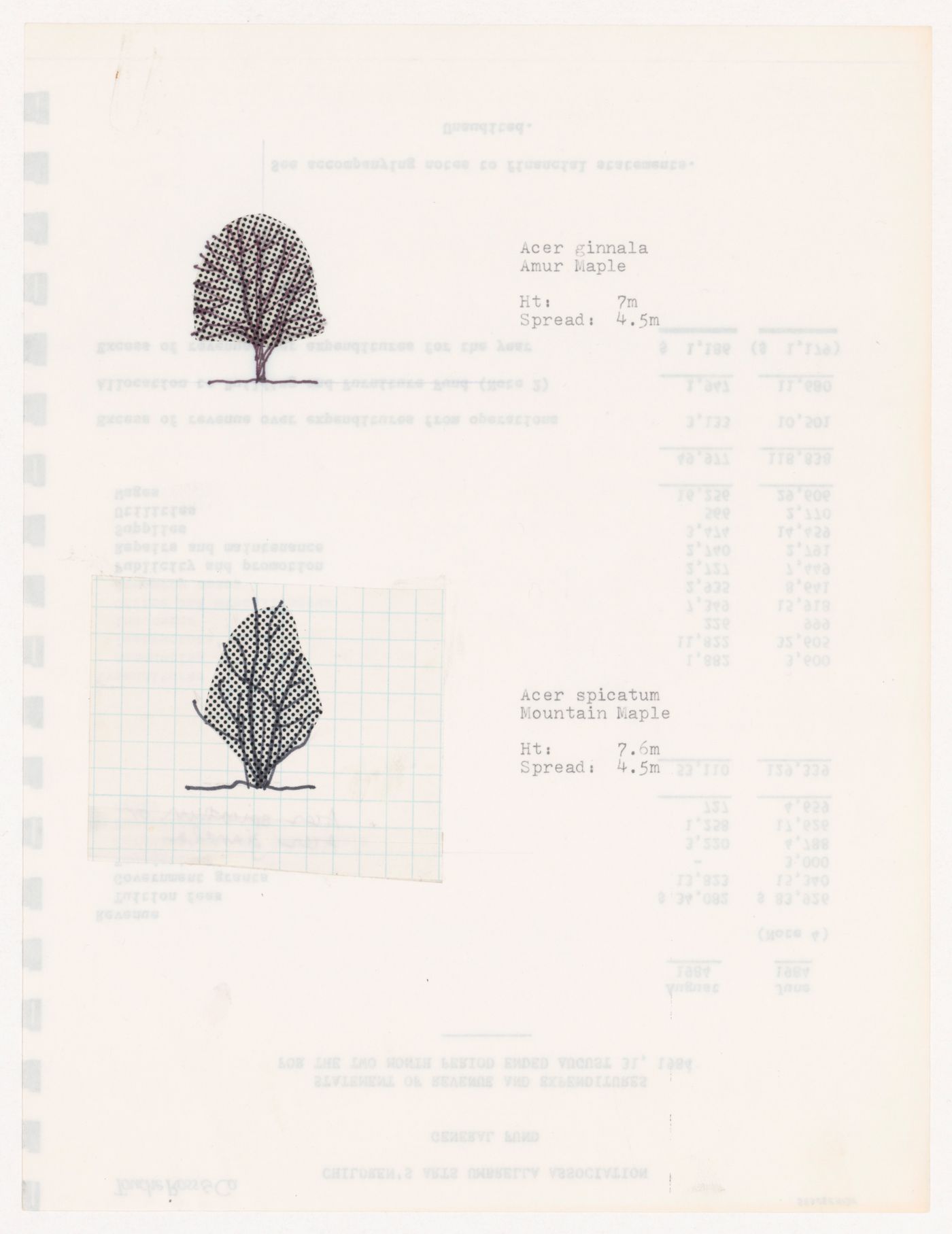 Plant specifications with illustration of specimens for National Gallery of Canada, Ottawa, Ontario