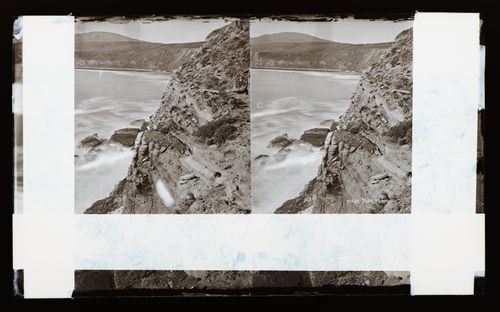 Stereograph of Point Fermin, Los Angeles, California, United States of America
