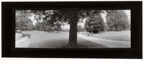 Long Meadow, Prospect Park, Brooklyn, New York City, New York