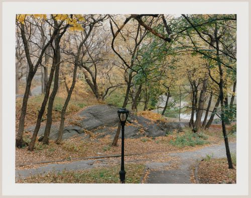 Viewing Olmsted: View Along the edge of the Meer, Central Park, Manhattan, New York City, New York