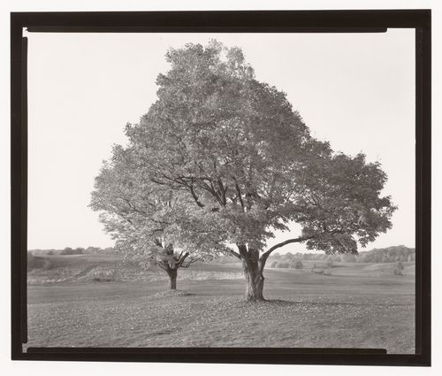 The Country Park, Franklin Park, Boston, Massachusetts, United States