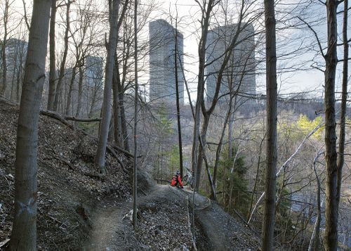 An Enduring Wilderness: Cyclists, E.T. Seton Park, Toronto