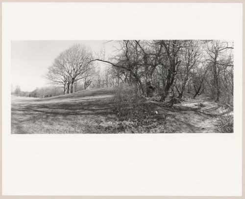 View along the edges of the Great Meadow and the Ravine, Prospect Park, Brooklyn, New York