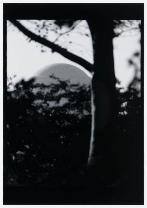 View of the dome of the Jefferson Memorial showing trees in the foreground, Washington D.C., United States, from the series "Empire"