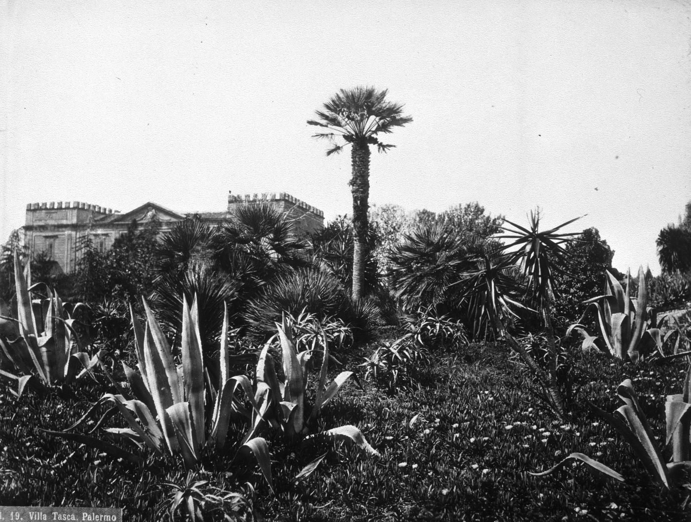 Plate from album ''Views of Italy, Monaco, Algers, Lisbonne, Gibraltar and Montserrat by various photographers''