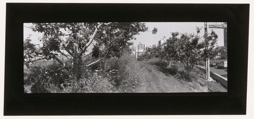 View of the orchard, CCA garden, Montréal, Québec, Canada