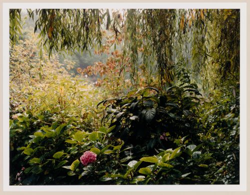 The enclosed Norman garden in the Fall, Monet Gardens, Giverny, France