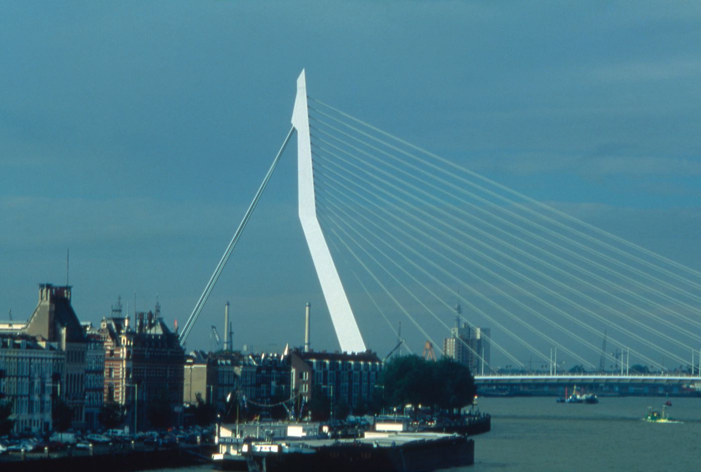 View of Erasmus Bridge, Rotterdam