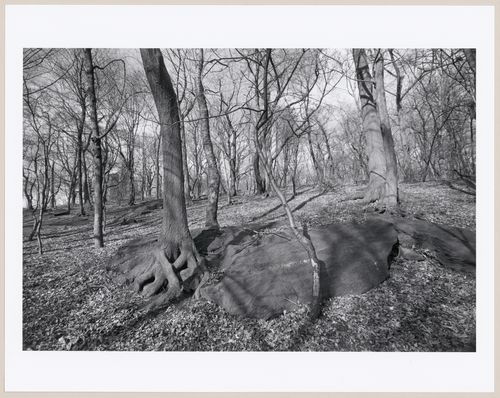 Central Park, Manhattan, New York City, New York