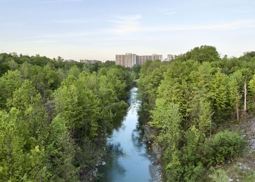 An Enduring Wilderness: East Don River, Charles Sauriol Conservation Area, Toronto