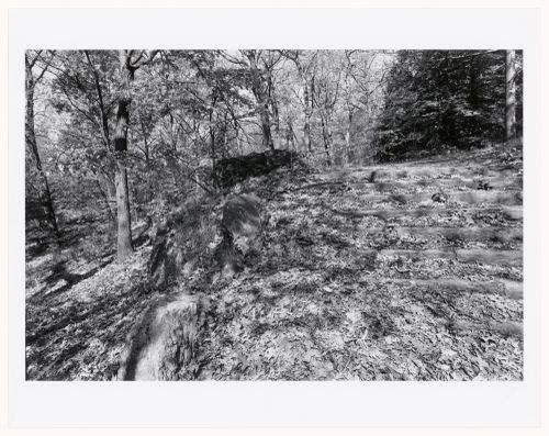 Stone staircase, the wilderness, Franklin Park, Boston, Massachusetts