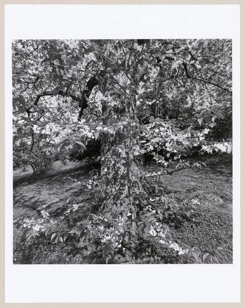 Highland Park, Rochester, New York