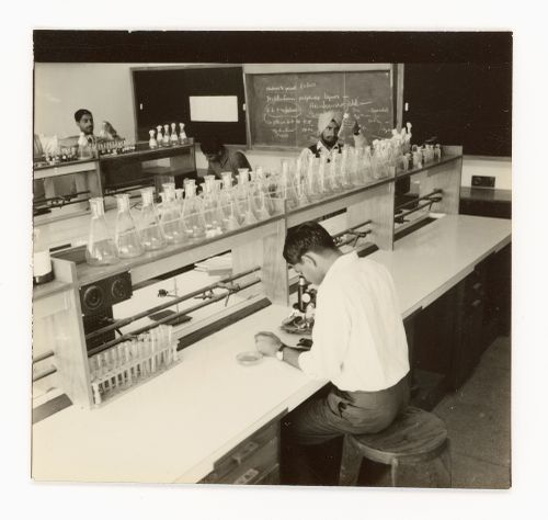 Photograph of lab at Punjab Agricultural University in Hisar, India