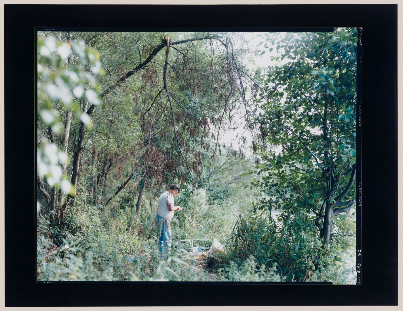 Portrait of a man standing amongst trees, Dlugie, near Strzelce Kraje'nskie, Poland (from the series "In between cities")