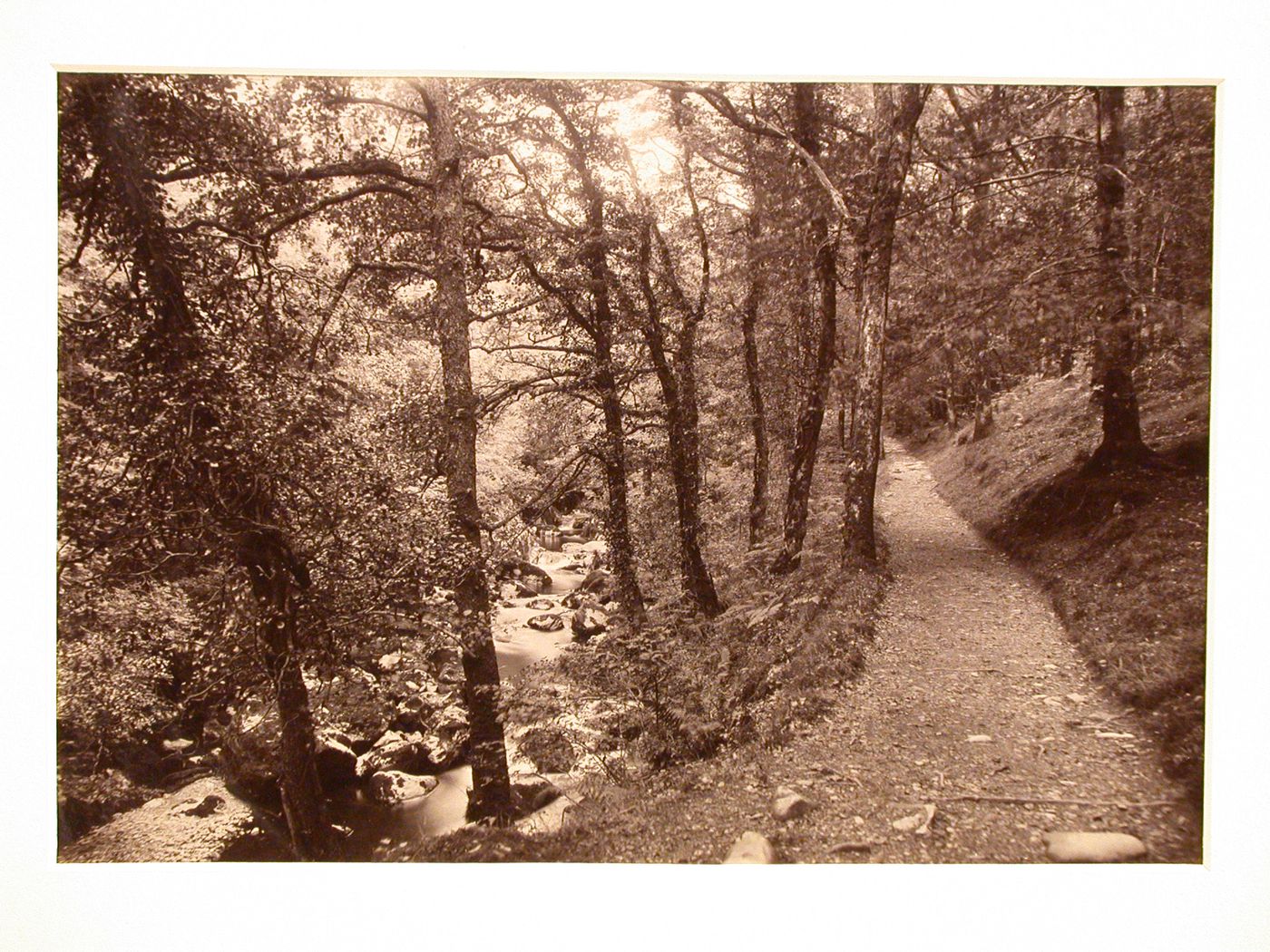 Dolgelley, view of Torrentwalk.