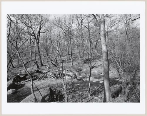 Central Park, Manhattan, New York City, New York