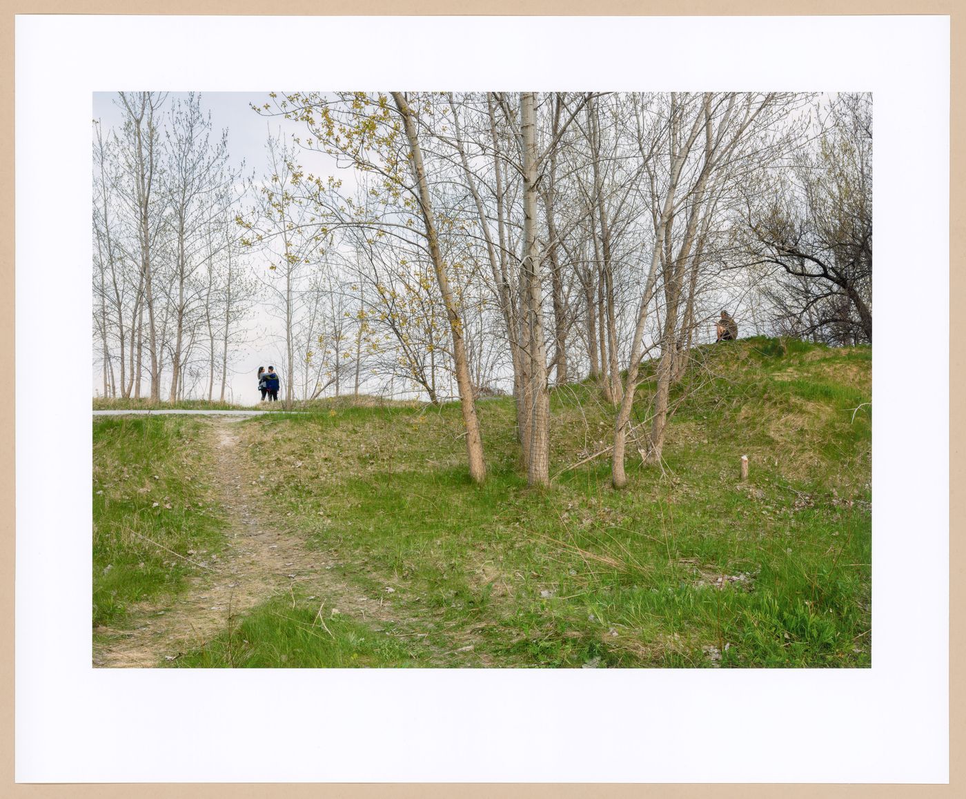 Footpath at the entrance, the Neck, from the series Accidental Wilderness