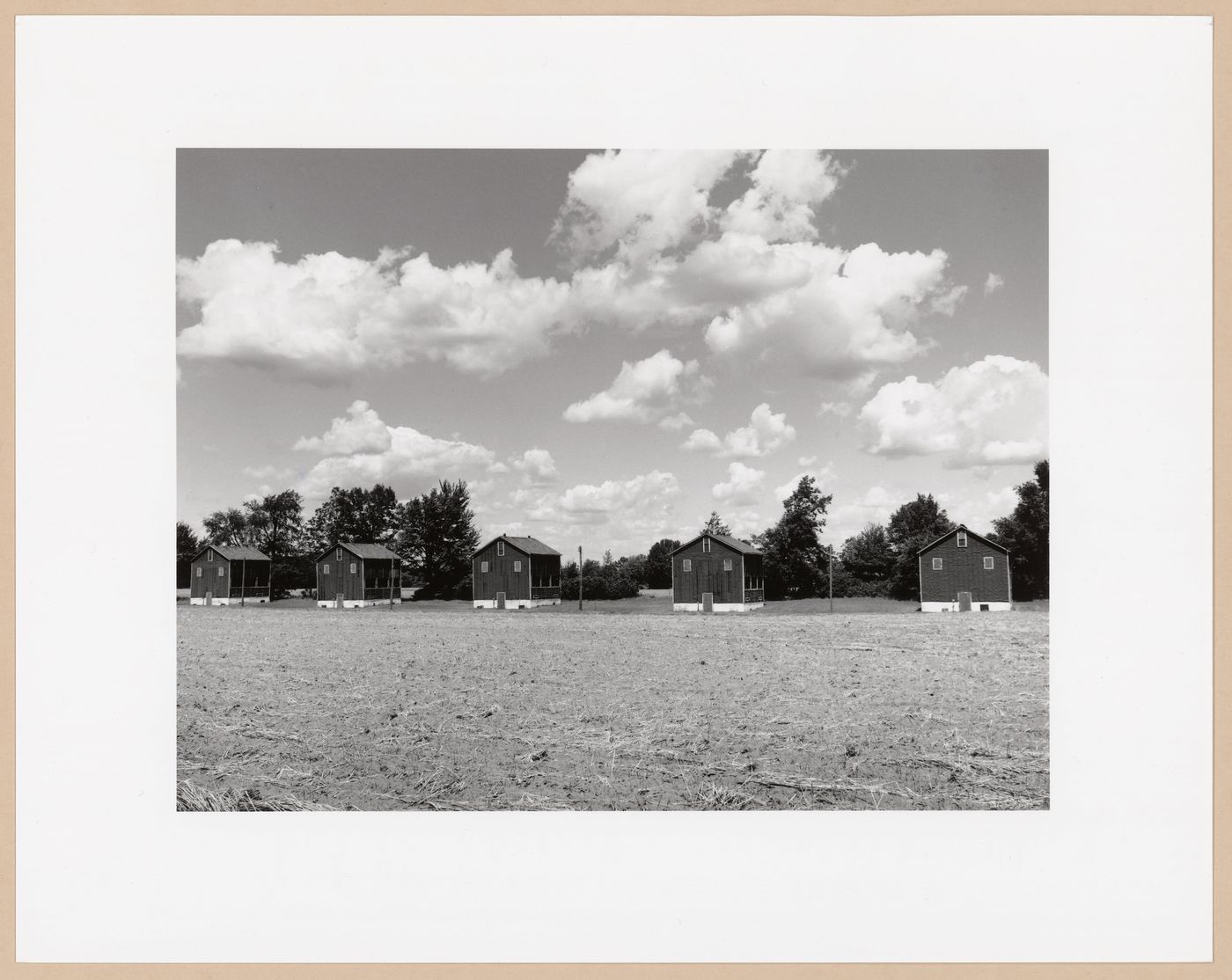 Tobacco sheds, Tillsonburg, Ontario, from the series The Forms of Canadian Industrial Architecture