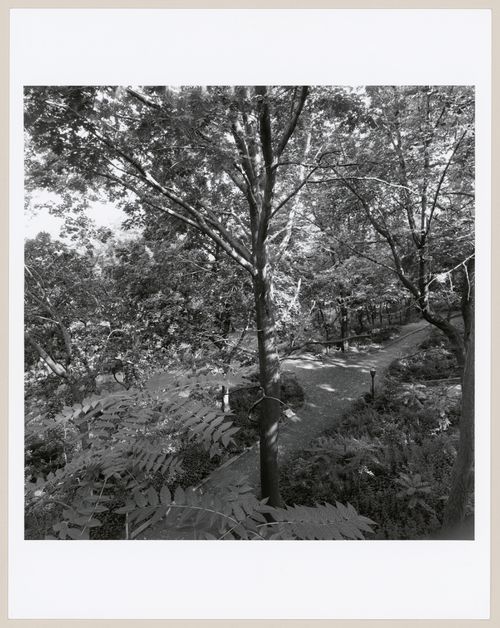 Morningside Park, New York, New York