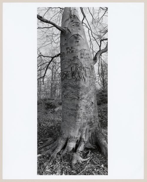 Shawnee Park, Louisville, Kentucky