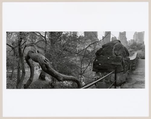 Central Park, New York, New York