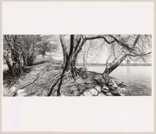 View along Jamaica Pond looking northeast, Jamaica Park, Boston, Massachusetts