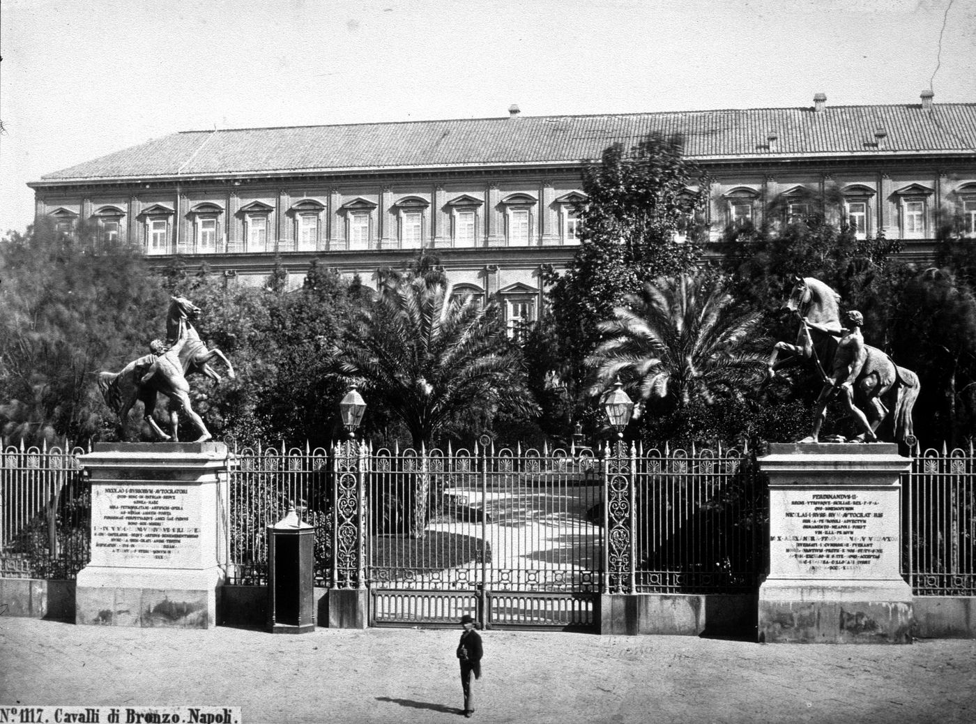 N°1117. Cavalli di Bronzo. Napoli