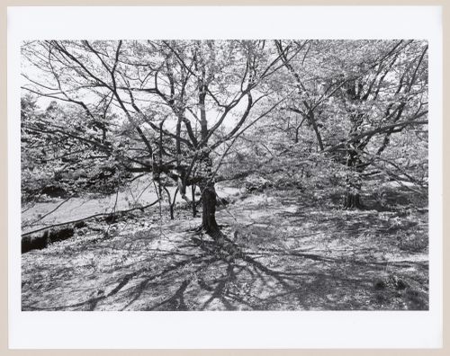 Franklin Park, Boston, Massachusetts