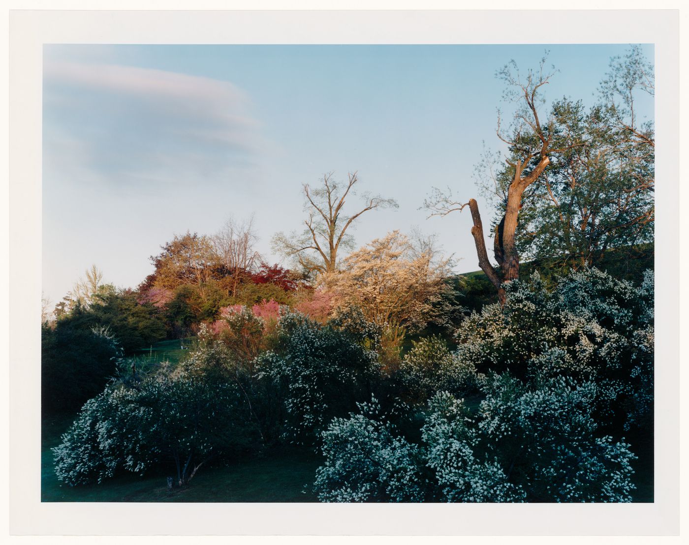 Viewing Olmsted: View of Highland Park, Rochester, New York