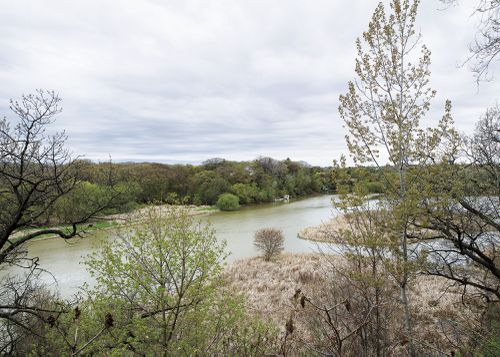 An Enduring Wilderness: Humber Marshes and South Humber Park, Toronto