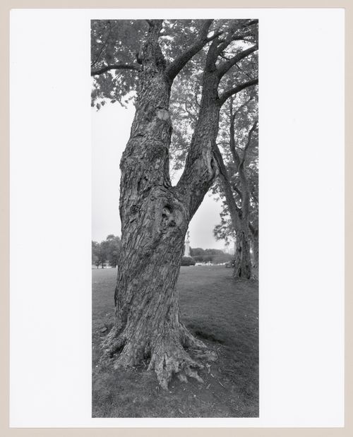 Mount Royal, Montréal, Québec