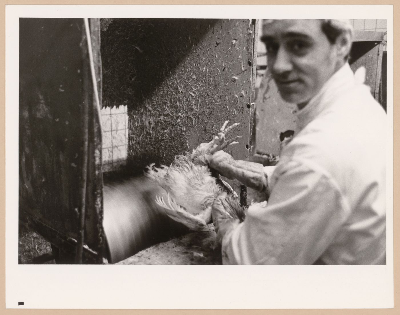 Montréal, Boulevard Saint-Laurent