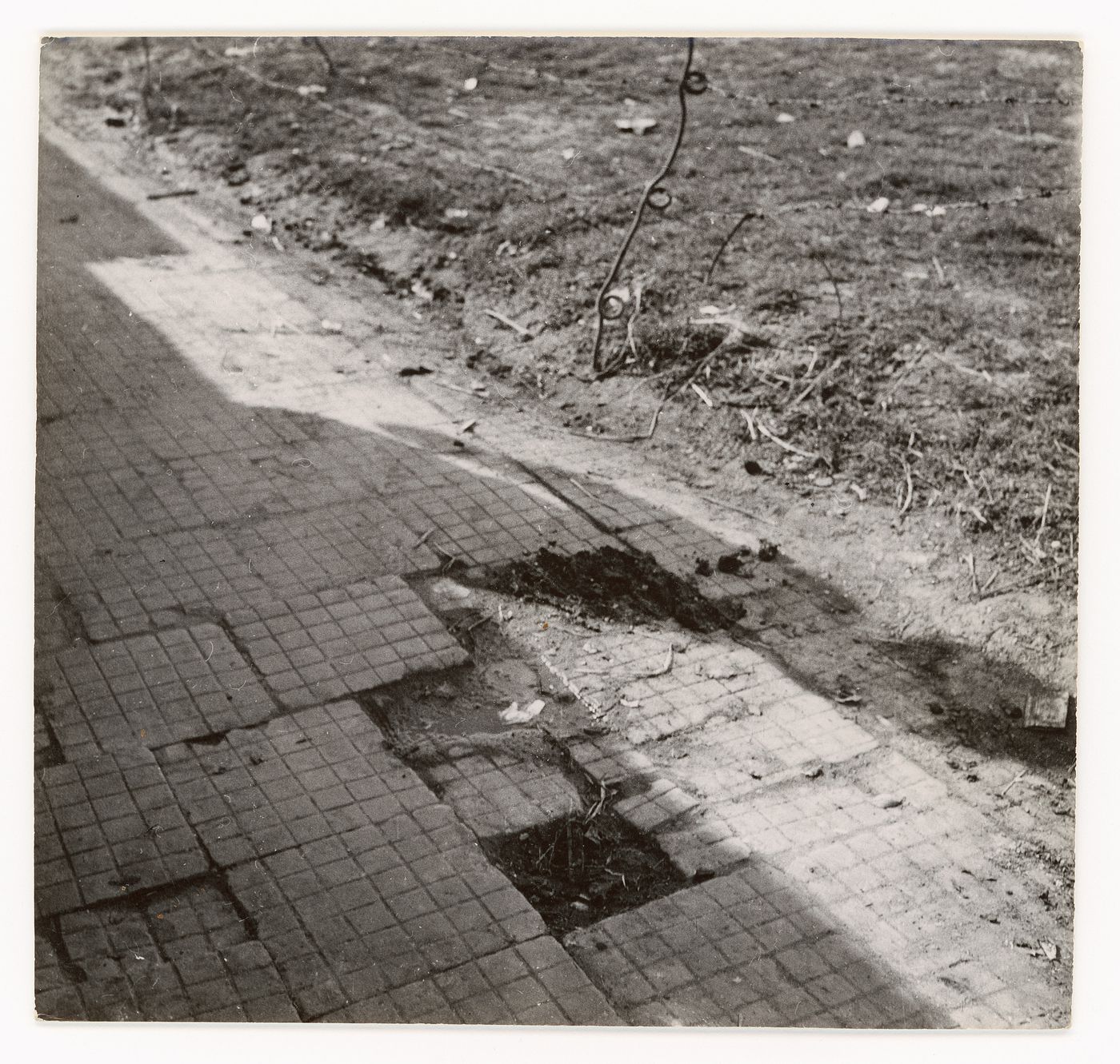 View of broken gridded pavement tiles during the construction of Chandigarh, India