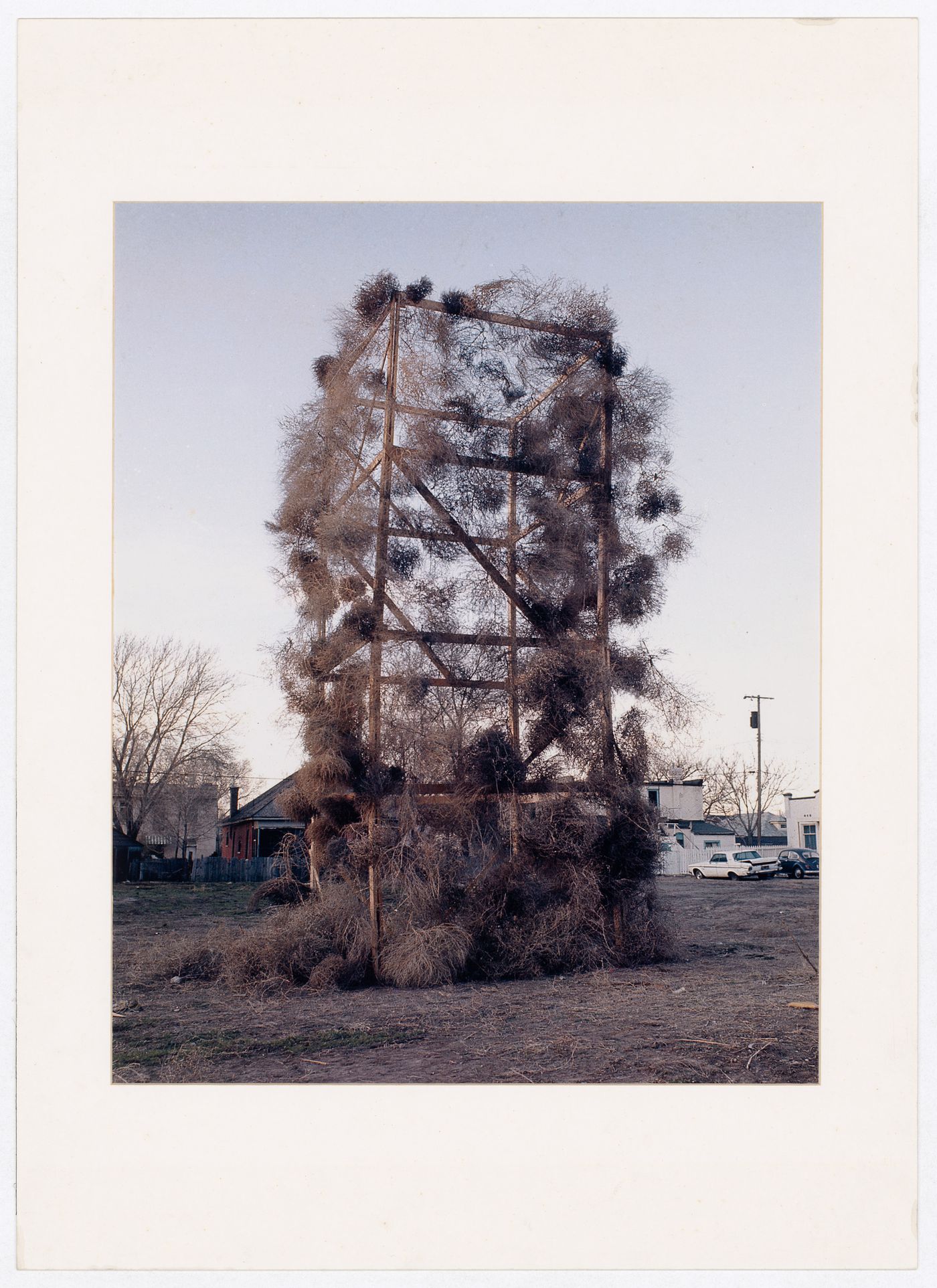 Photograph showing Tumbleweeds Catcher