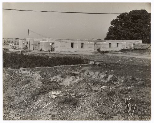 View of a "modernized" village, likely near Chandigarh, India