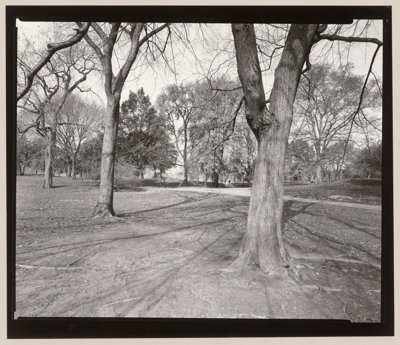 East Meadow, Central Park, Manhattan, New York City, New York