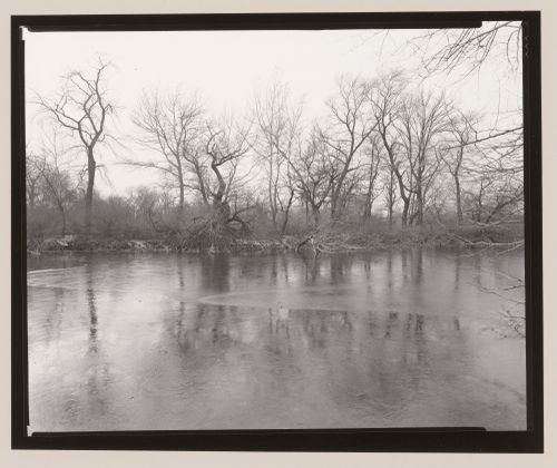 L'Île boisée, Jackson Park, Chicago, Illinois, 1991