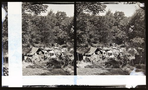 Stereograph of an encampment with tents, Los Angeles, United States of America