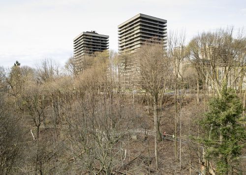 An Enduring Wilderness: David A. Balfour Park, Toronto