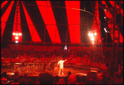 Circus, Kassel, Germany