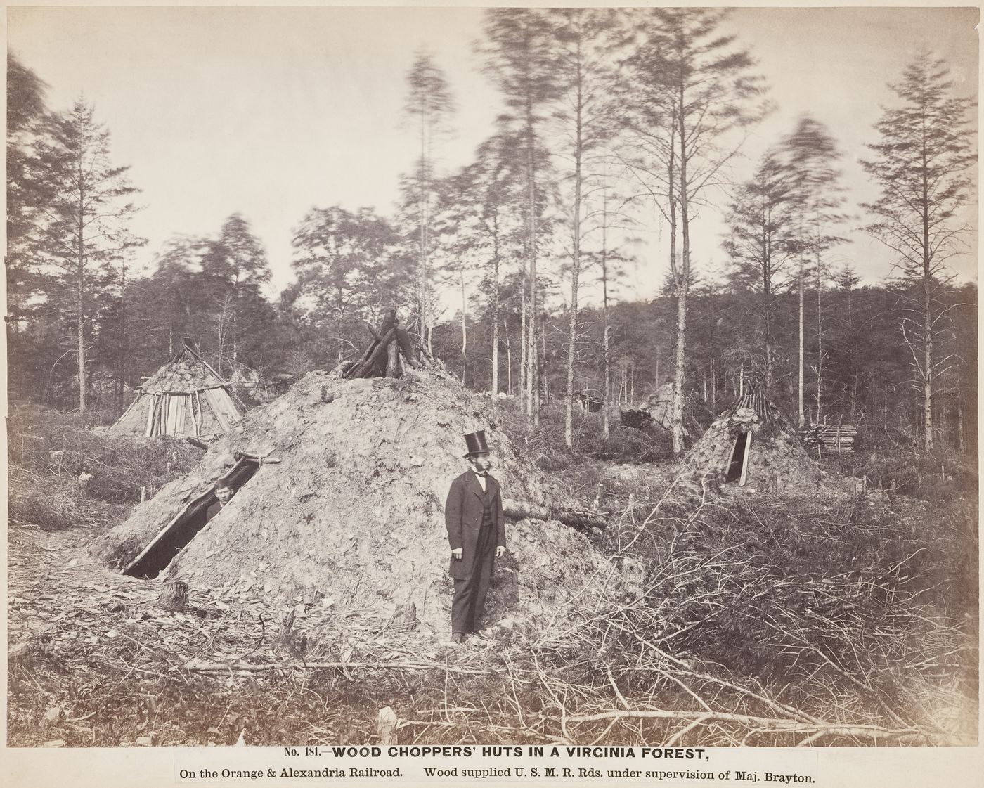 Wood Choppers' huts in a Virginia forest