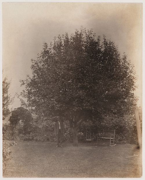 Portrait of Darwin D. Martin [?] standing in a garden beside a tree, Buffalo, New York