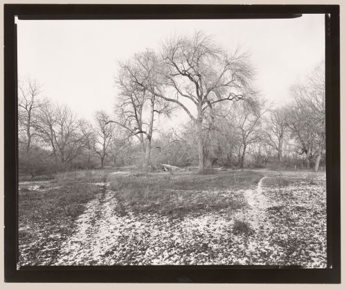 Island, Jackson Park, Chicago, Illinois