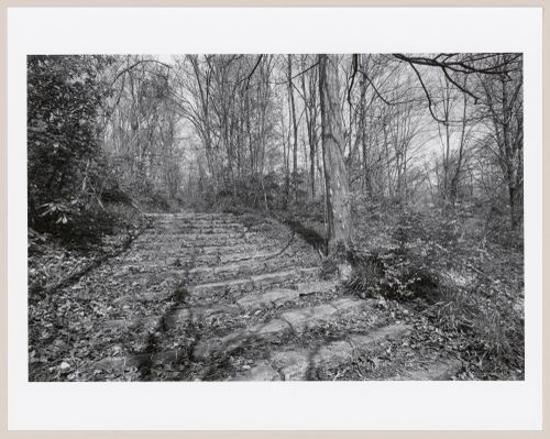 Stone staircase, Cherokee Park, Louisville, Kentucky