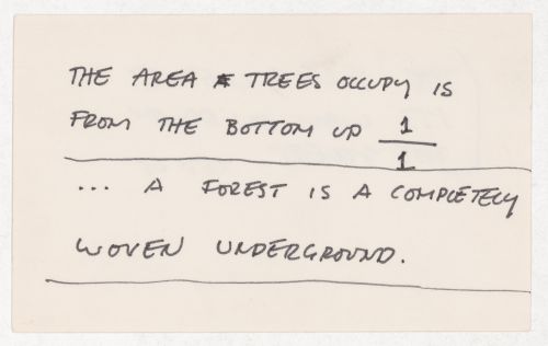 The area trees occupy is from the bottom up...; verso: The forest leaves its way on down the street