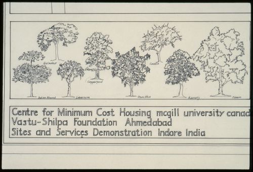 Types of trees for planting for the Aranya Housing Project, Indore, India