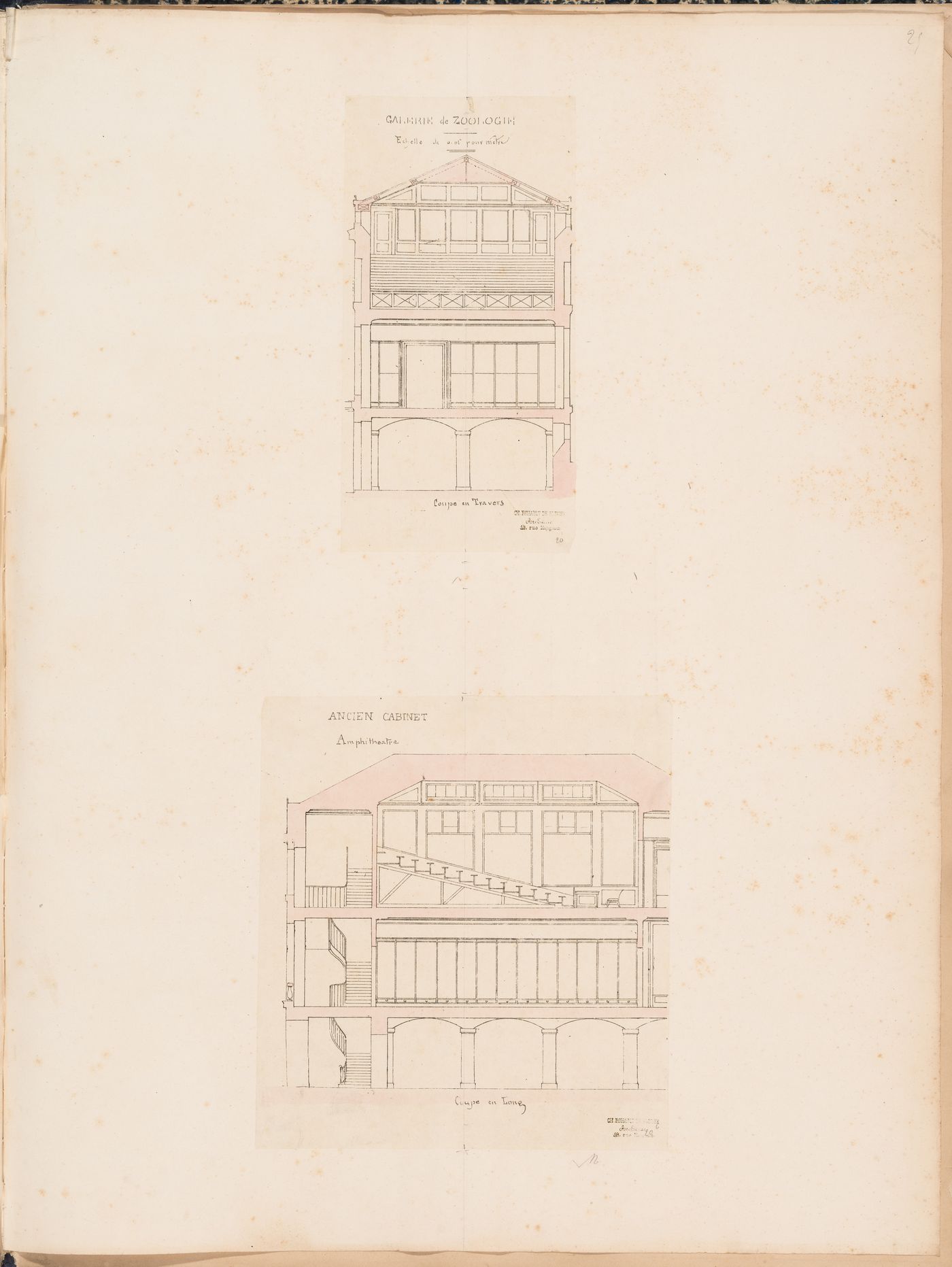 Project for a Galerie de zoologie, 1846: Cross and longitudinal sections for the amphitheatre