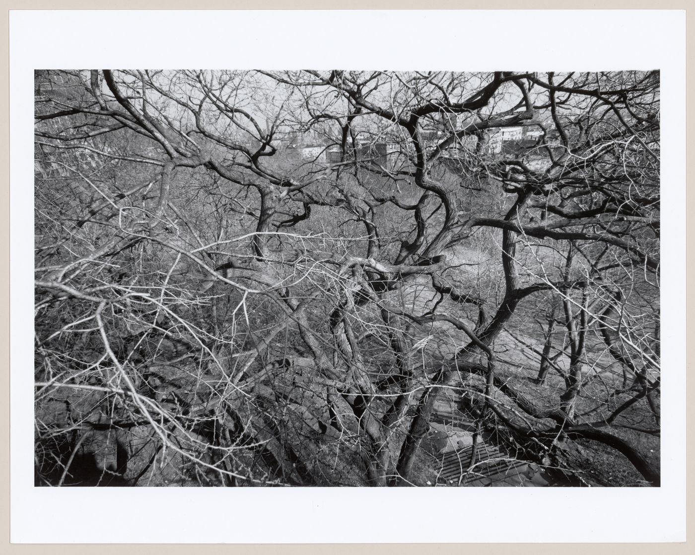Morningside Park, Bronx, New York City, New York