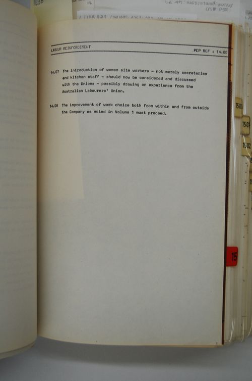 Labour reinforcement (paragraphs 14.07-14.08) (from McAppy report. Office copy, volume 2)