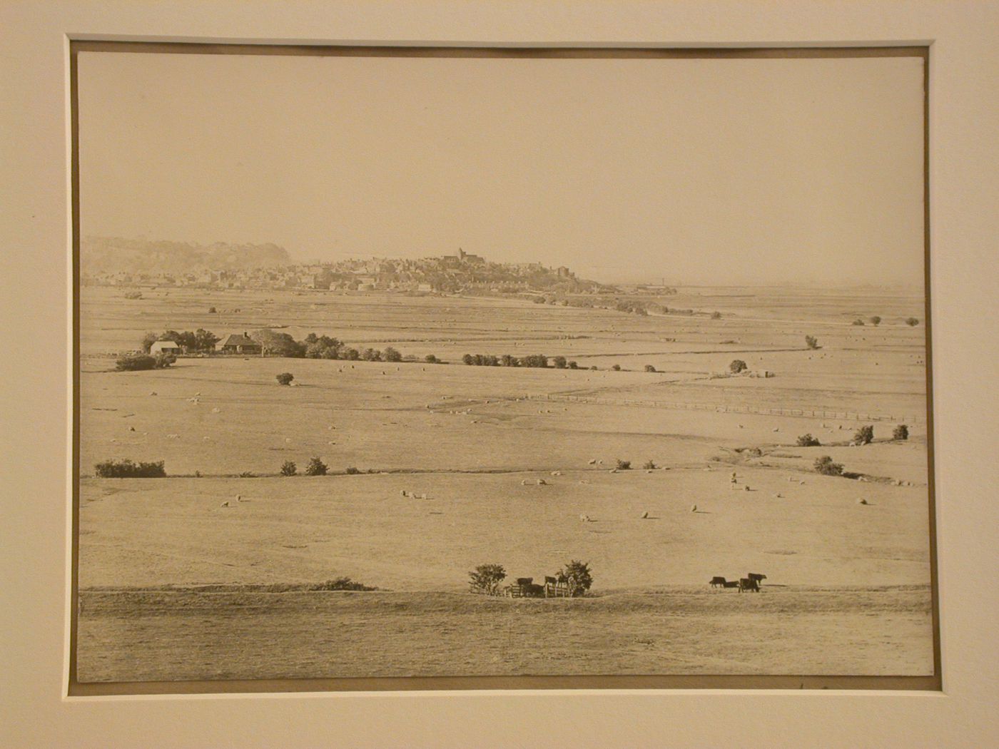 Rye: from Winchelsea